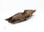 Single Display Grade Piece of Superior Wild Agarwood from Nha Trang Vietnam - theperfumist